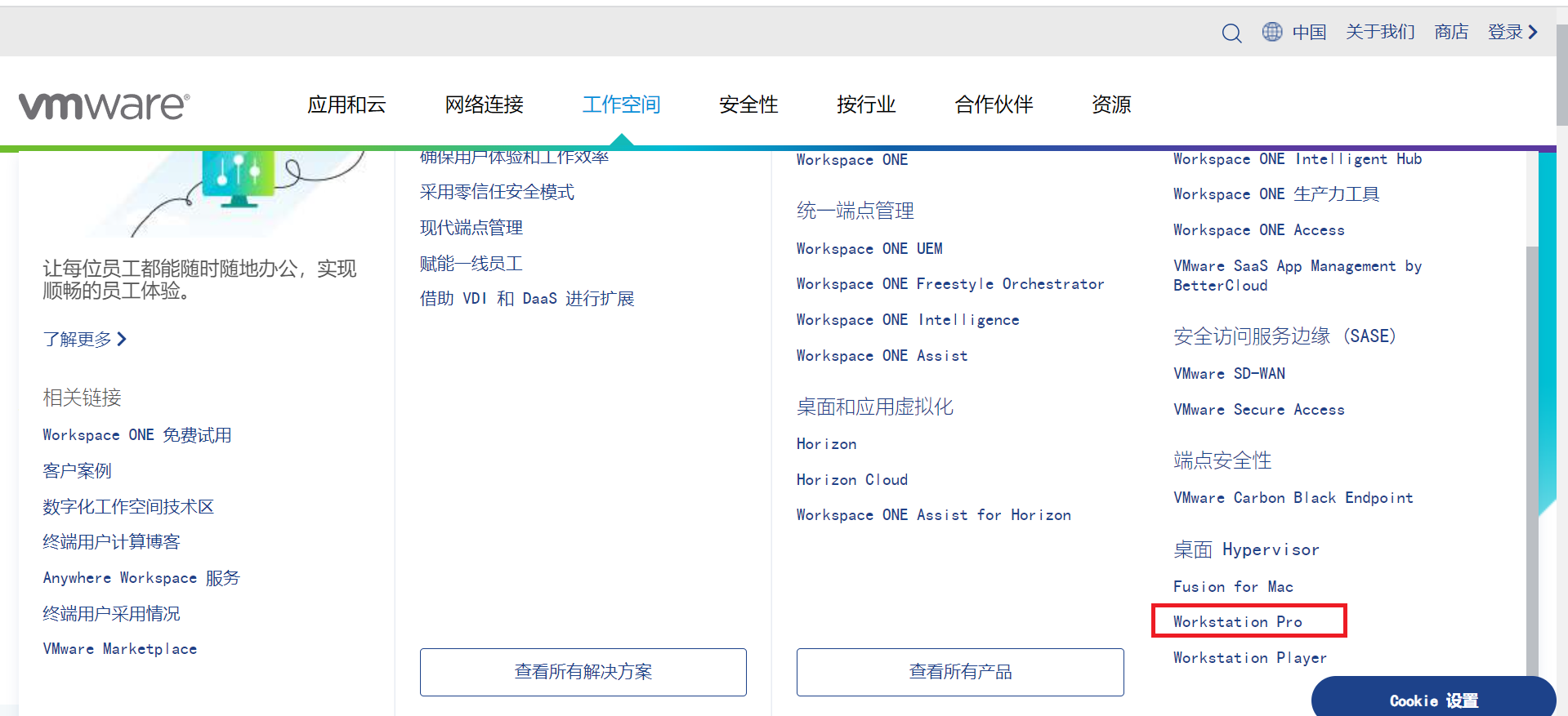 点击Workstation Pro